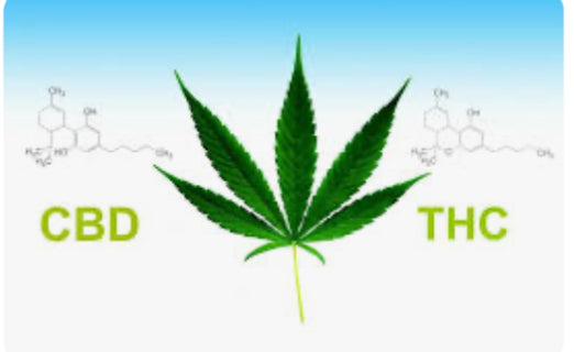 THC